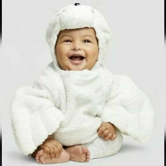 NWT Hide & Eek Infant Seal Sea Life Halloween Costume Adorable - Picture 1 of 4